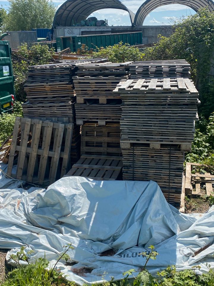 Holz / Bretter / Paletten in Bruchköbel