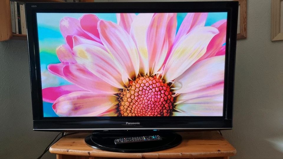 Panasonic TX-P42GW10 Plasma Fernseher 42 Zoll in Winsen (Luhe)