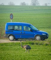 Opel Combo CNG - Minicamper Eimsbüttel - Hamburg Eimsbüttel (Stadtteil) Vorschau