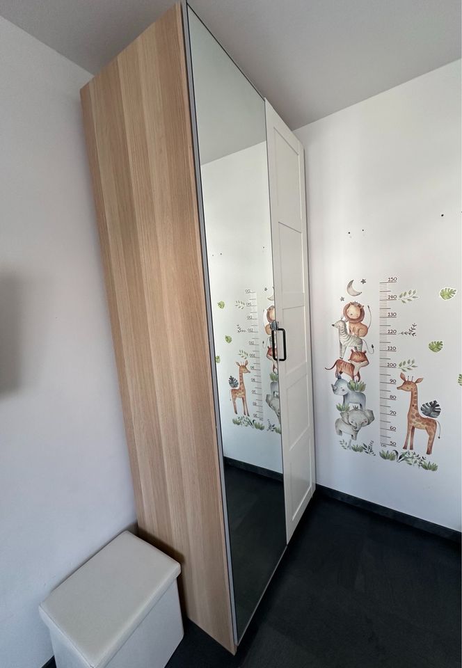 Ikea Vikedal Spiegeltür 50x229 cm in Büdingen