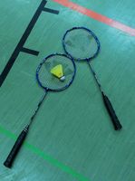 Hobby-Badminton-Gruppe sucht Verstärkung Essen - Essen-Borbeck Vorschau