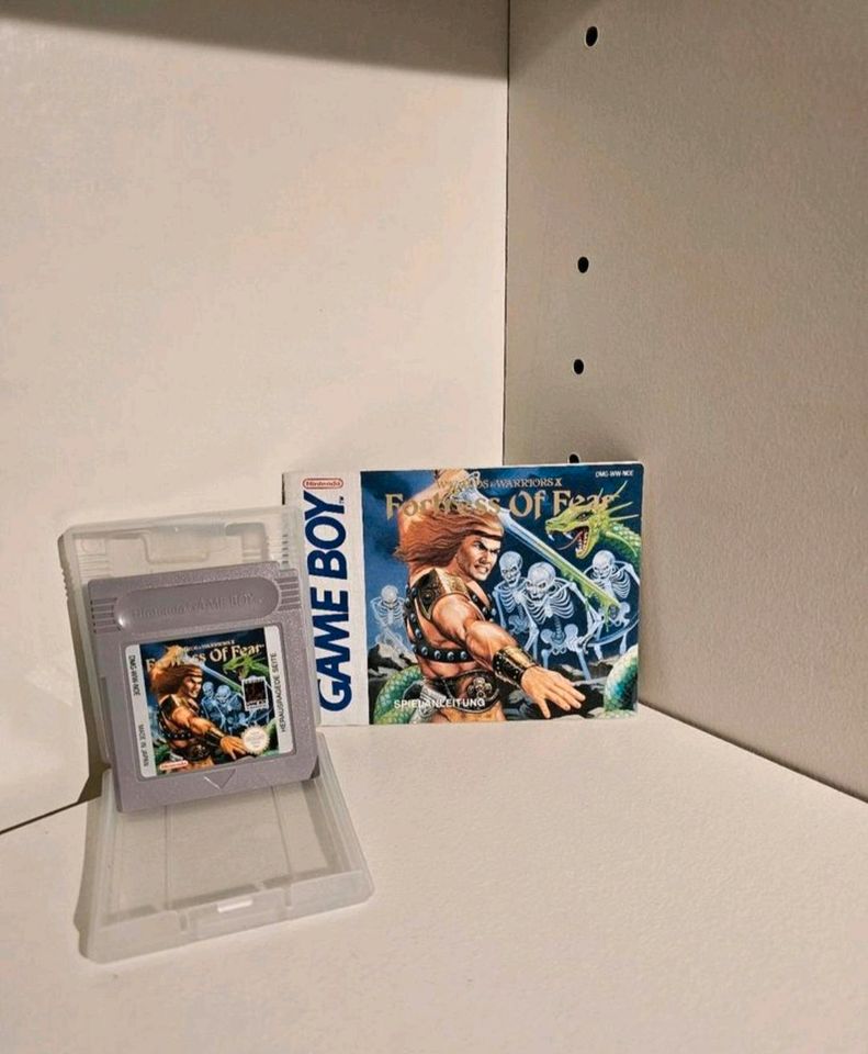 Wizards & Warriors Fortress Of Feat Game Boy [ Spieleauflösung] in Jade