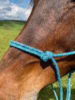 Knotenhalfter & Bodenarbeitsseil zu verkaufen Rheinland-Pfalz - Utscheid Vorschau