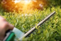 Hecken schneiden entfernen Schnitt Gartenarbeit Rollrasen Brandenburg - Glienicke/Nordbahn Vorschau