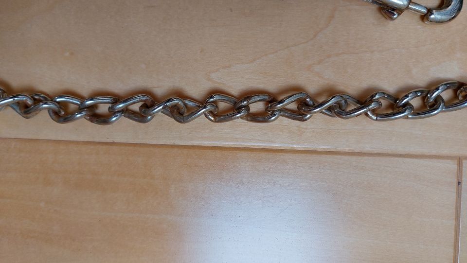 Führkette / Hengstkette mit Handschlaufe und Karabiner, grün in Großenaspe