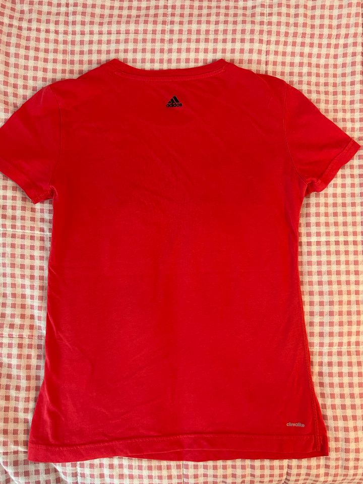 Adidas T-shirt Gr. S rot in Hildesheim