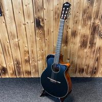 Ibanez AEG50N-BKH Akustik-Gitarre Holz Preamp B-Ware Niedersachsen - Cloppenburg Vorschau