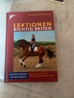 Lektionen richtig reiten Nordrhein-Westfalen - Vettweiß Vorschau