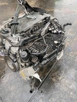 Motor Mercedes E53 CLS GLE 53 AMG W213 W167 256930 3.0 435ps Komp Berlin - Wilmersdorf Vorschau