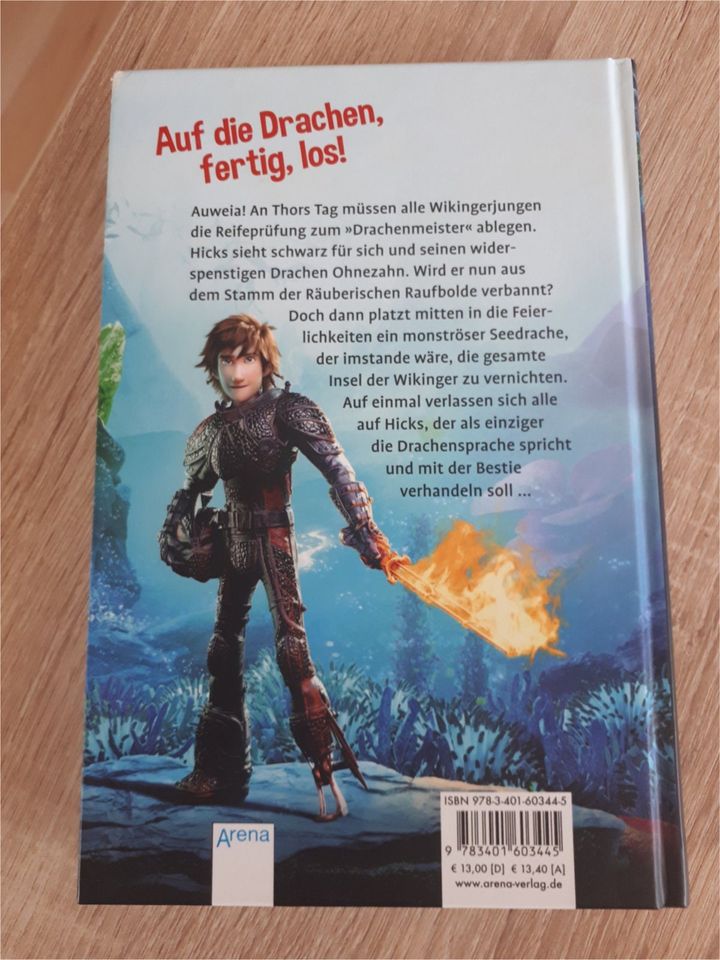 Drachenzähmen leicht gemacht – das Buch zum Film, wie neu in Drebach