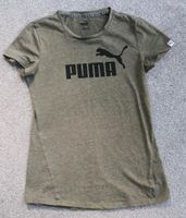 Puma Shirts Größe M Brandenburg - Bestensee Vorschau
