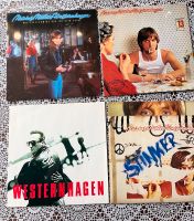Schallplatten Sammlung von Marius Müller Westernhagen Baden-Württemberg - Keltern Vorschau