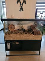 Hamsterkäfig 1m breit, Nagarium mit Unterschrank, Terrarium Bochum - Bochum-Ost Vorschau