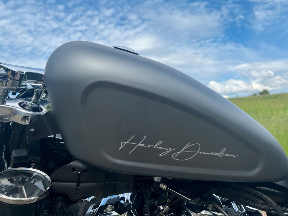 Harley XL1200C Custom 48-Style, neue Reifen, 5HD, unfallfrei in Michelstadt