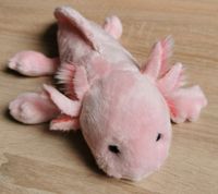 Plüschtier Axolotl Rosa Nordrhein-Westfalen - Niederkrüchten Vorschau