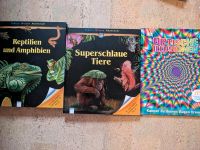 2 Tier-Bücher+ Optische Illusionen Schleswig-Holstein - Hamberge Holstein Vorschau