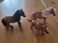 Schleich "Shetlandpony-Familie" Sachsen - Reichenbach (Vogtland) Vorschau