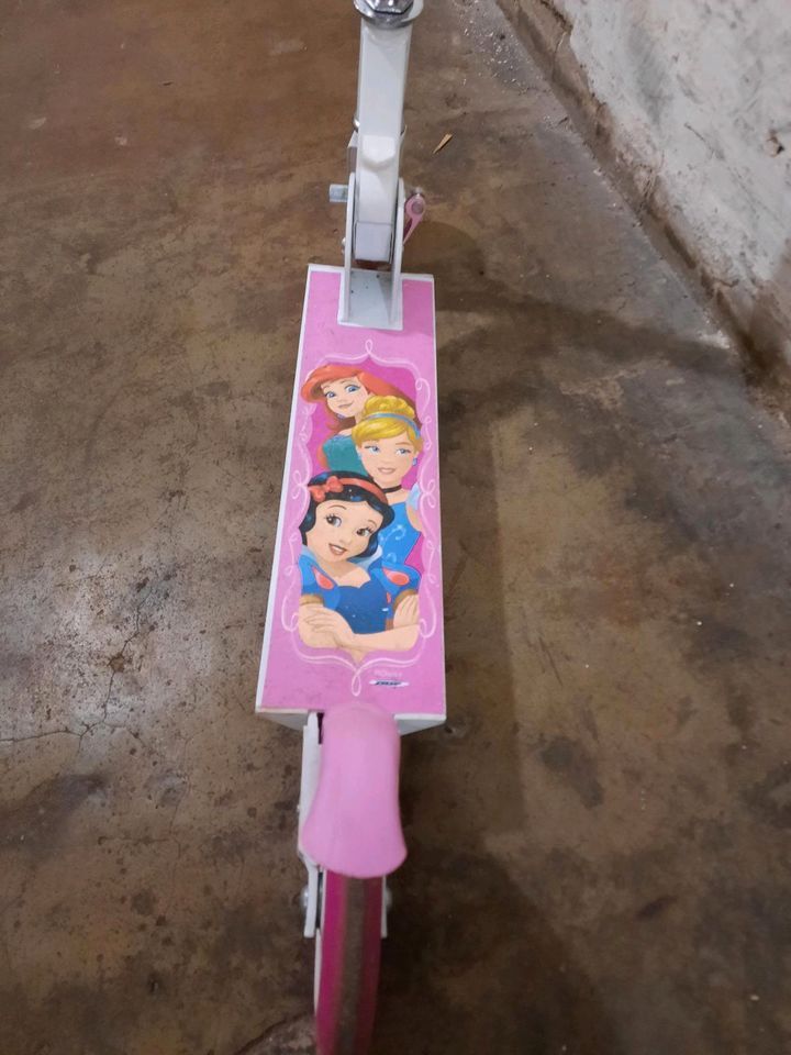 Disney Princess Roller in Lübeck