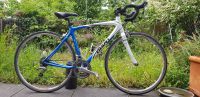 Carbon Rennrad Giant Hibike, Size M, Shimano 105 Komponenten. Bayern - Karlsfeld Vorschau