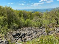 Suche Wiese, Acker,Grundstücke in Garitz Bayern - Bad Kissingen Vorschau