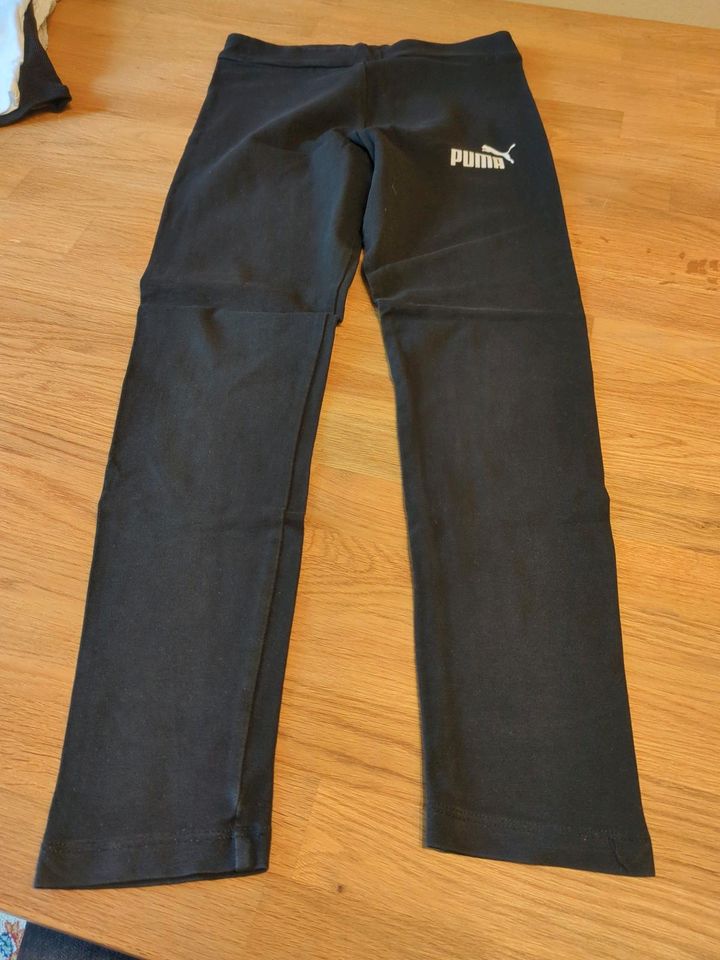 Puma Leggings Größe 140 in Grünberg