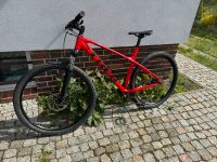 Mountainbike  Trek Marlin 6 wenig genutzt Rahmenhöhe 52 Pankow - Weissensee Vorschau