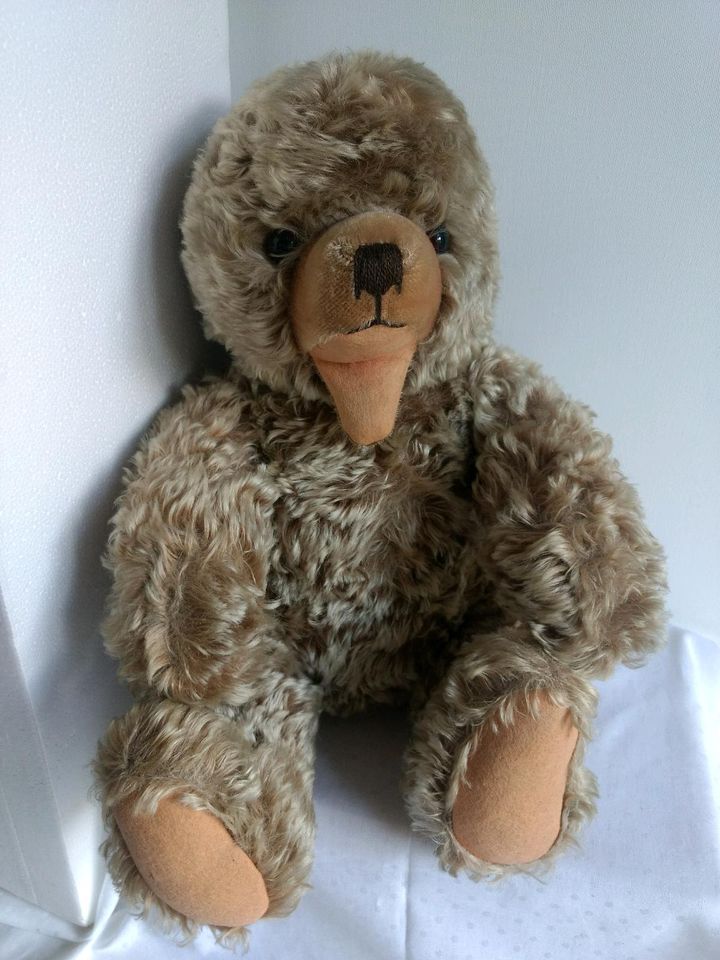 Großer alter Teddybär selten da ohne Ohren. in Freiburg im Breisgau