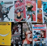 9 Mangas  Broken Blade/Crimson Wolf/Die Sargprinzessin /Konvolut Thüringen - Erfurt Vorschau