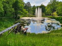 1 Woche Urlaub / Ferien im Harz / Oberharz ! Nordrhein-Westfalen - Rahden Vorschau