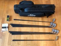 Golfset Golfschläger Palmer Bay Hill Golfbag Callaway Golf Set Baden-Württemberg - Heidelberg Vorschau