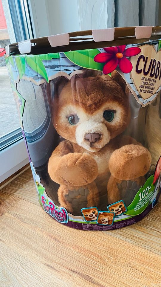 Chubbybär von furreal/ hasbro in Crimmitschau