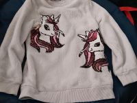 Kuscheliger Einhorn Pailletten Pullover Gr. 110/116 h&m Niedersachsen - Rinteln Vorschau