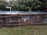 Kaninchen/Hasen Stall mit überdachten Aussengehege Nordrhein-Westfalen - Baesweiler Vorschau