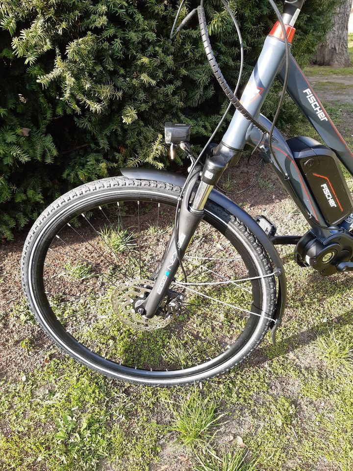 Fischer E-Bike 28" Trekking Damen in Dresden