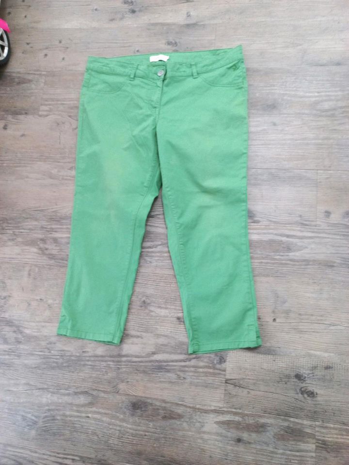 TOM TAILOR    Chino    44 in Himmelpforten