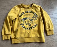 Sweatshirt Gr. 110 c&a Dino Dresden - Leubnitz-Neuostra Vorschau