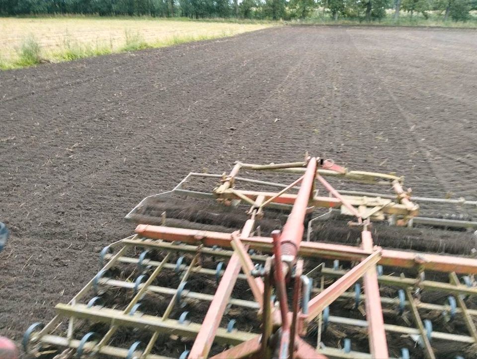 Speisekartoffel     Kartoffel Leider Ausverkauft in Bismark (Altmark)