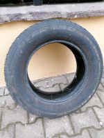 Reifen ohne Felge, 195/65 R15 Chemnitz - Altendorf Vorschau
