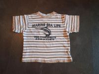 gestreiftes Marine Sea life T-Shirt Gr. 104 von X-Mail Berlin - Hohenschönhausen Vorschau