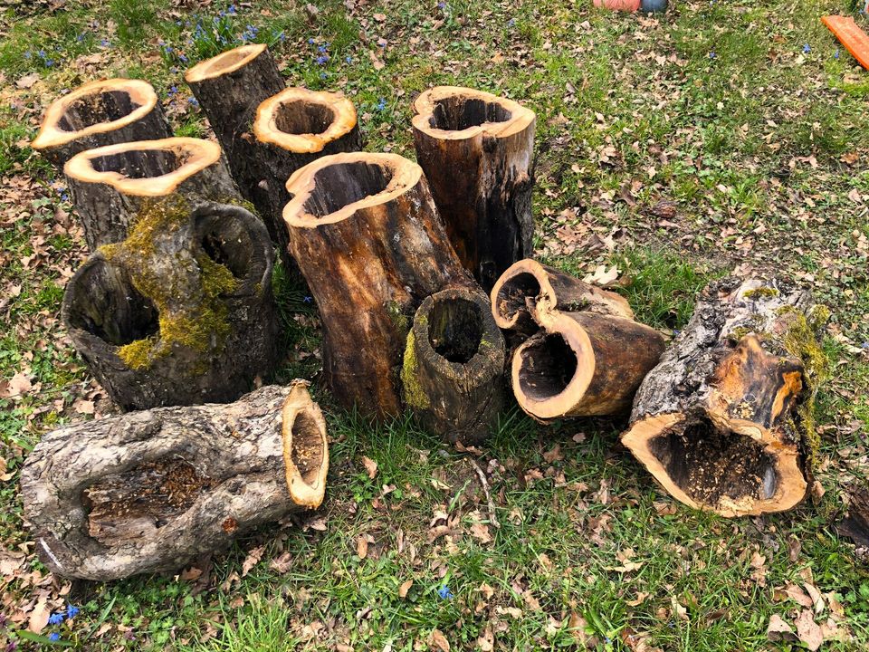 Deko Garten Katzen Baum Höhle Blumentopf Baumstamm Terrarium Holz in Blumenthal