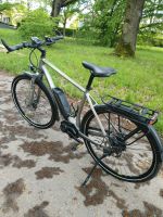 Hercules E-bike Herren Hessen - Wiesbaden Vorschau