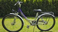 Pegasus 26 Zoll Alu Marken Kinderfahrrad Mädchen Verkehrssicher Schleswig-Holstein - Neumünster Vorschau