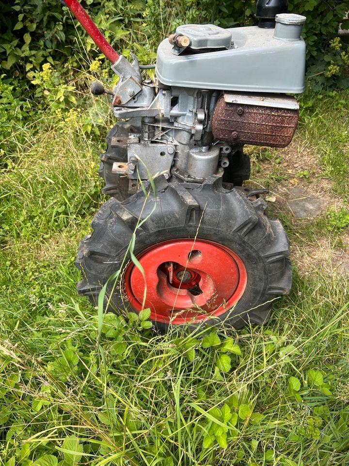 Gutbrod Einachser Gartenfräse Fräse mit viel Zubehör in Georgsmarienhütte