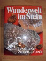 Wunderwelt im Stein Baden-Württemberg - Waghäusel Vorschau