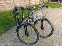 Damenrad und Herrenrad 28" Prophete Travel 500 21 Gang Nordrhein-Westfalen - Paderborn Vorschau