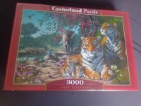 Castorland Puzzle 3000 Teile Bayern - Buchloe Vorschau