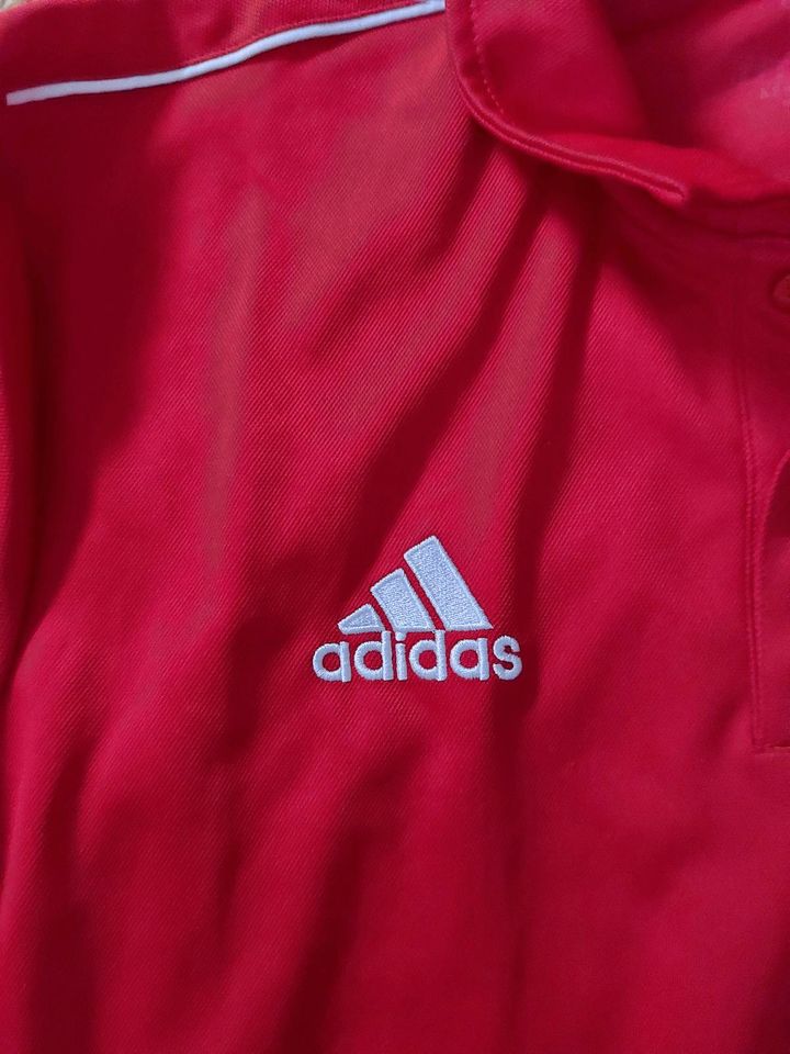 Adidas Poloshirt Herren M neu in Filderstadt