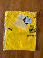Trikot Training BVB Thüringen - Erfurt Vorschau