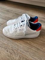 Puma Sneaker BMW Motorsport Edition Obervieland - Arsten Vorschau
