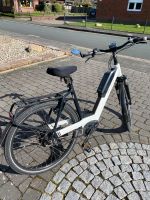 EBike Riese und Müller Niedersachsen - Jever Vorschau